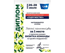 Диплом за первое место в творческом конкурсе Визитка команды на турслете 